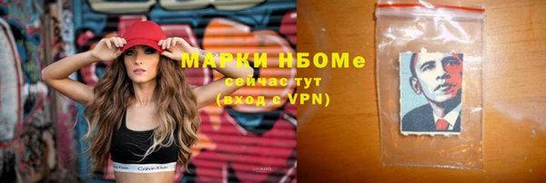 шишки Мегион