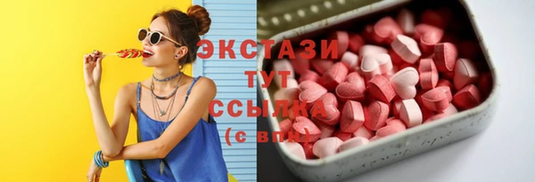 шишки Мегион