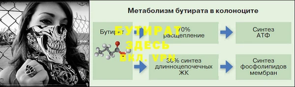 шишки Мегион