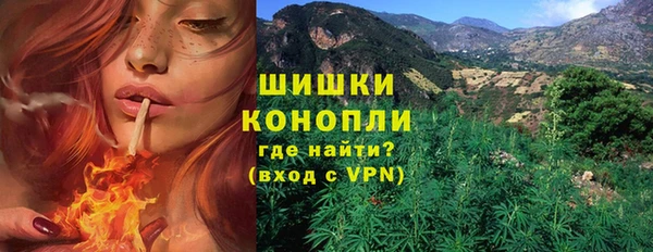 spice Медвежьегорск