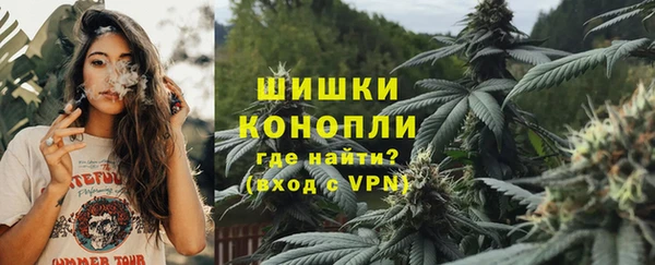 ПСИЛОЦИБИНОВЫЕ ГРИБЫ Медногорск