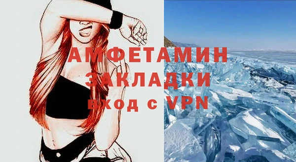 шишки Мегион