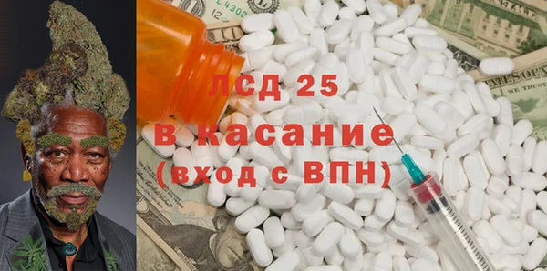 шишки Мегион