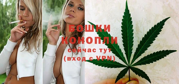 spice Медвежьегорск